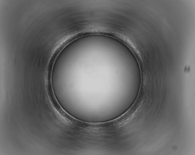 X0000091500629200708161234