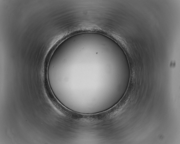 X0000091500630200708161234