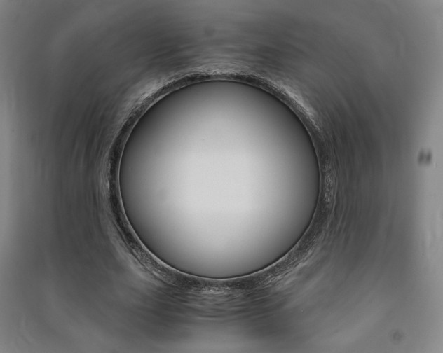X0000091500631200708161234