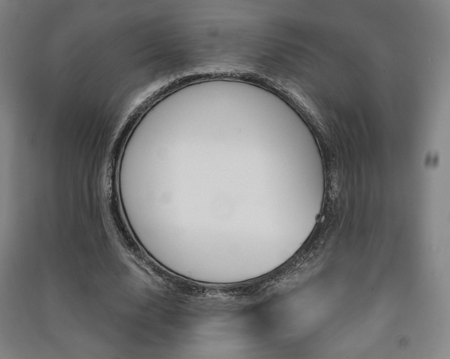 X0000091500632200708161234