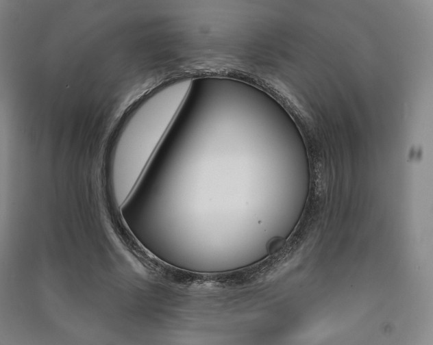 X0000091500634200708161234
