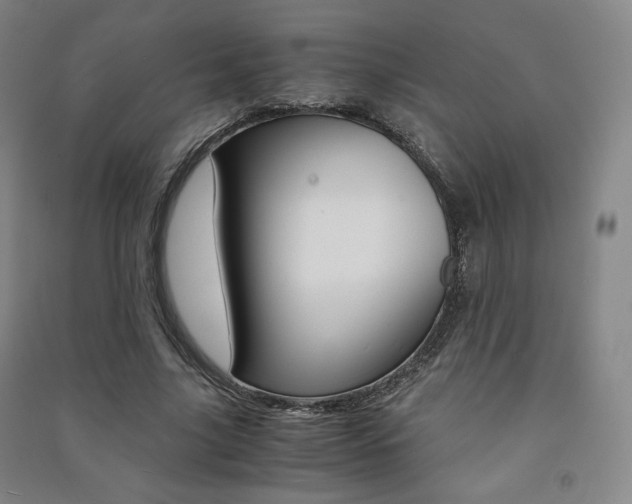 X0000091500635200708161234