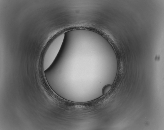 X0000091500636200708161234