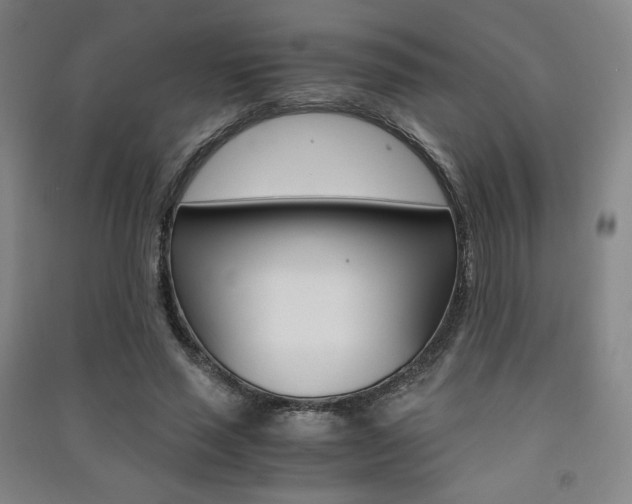 X0000091500637200708161235