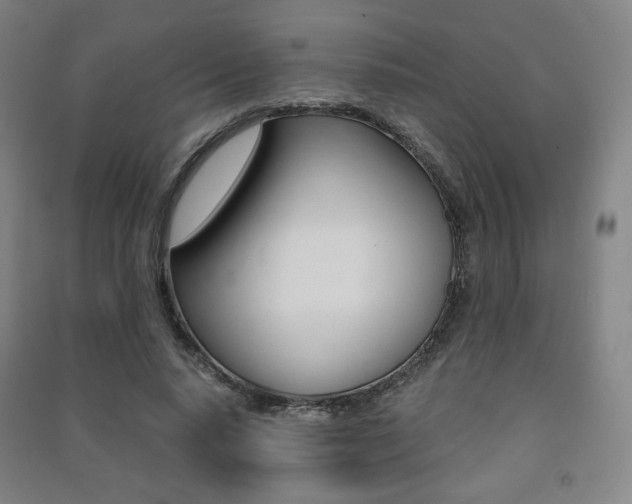 X0000091500640200708161235
