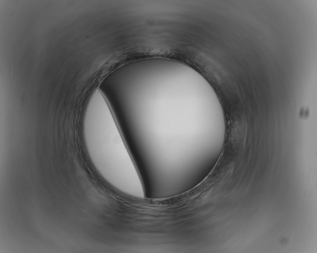 X0000091500643200708161235