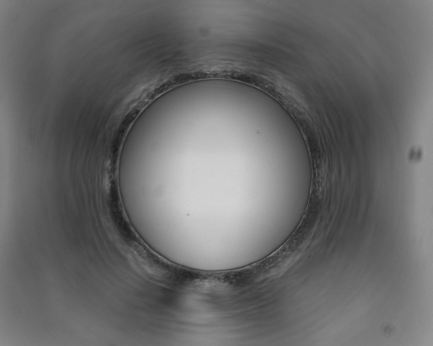 X0000091500644200708161235