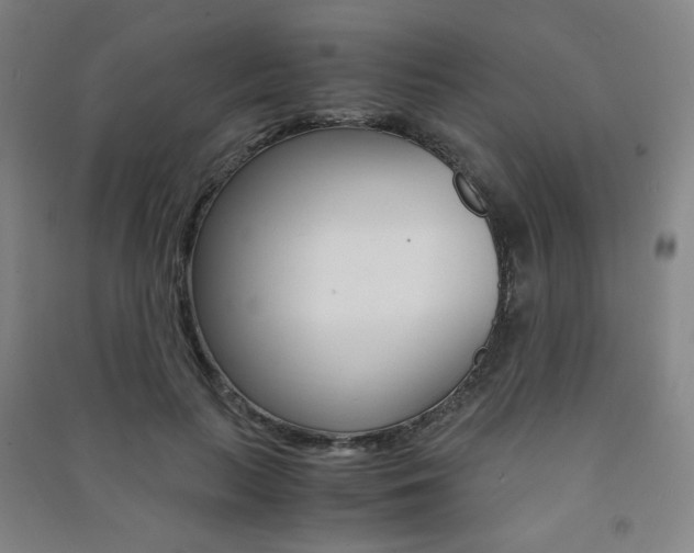 X0000091500647200708161235