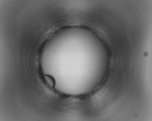 X0000091500648200708161235