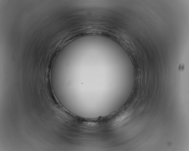 X0000091500649200708161235