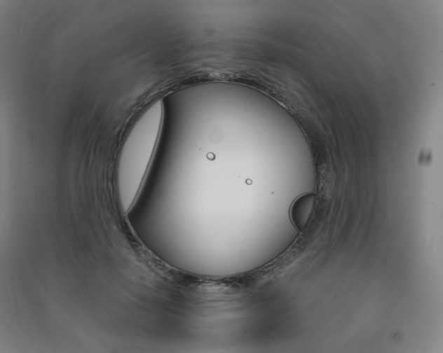 X0000091500650200708161235