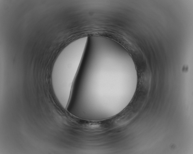 X0000091500651200708161235
