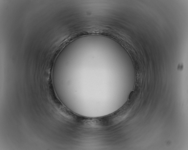 X0000091500652200708161235