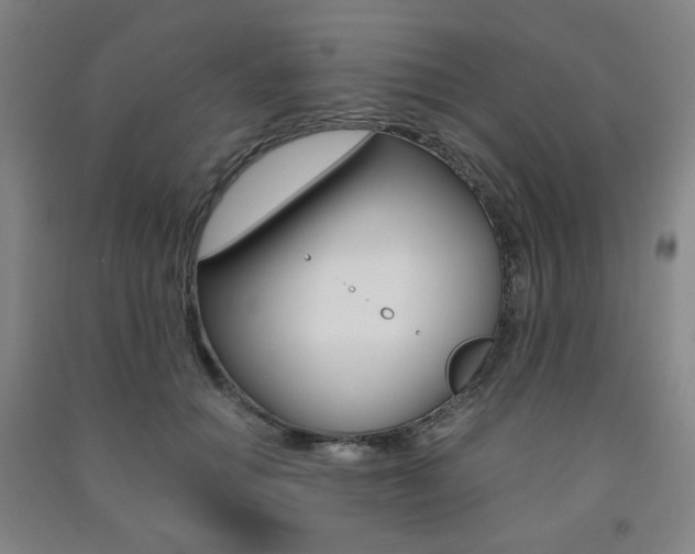 X0000091500654200708161235