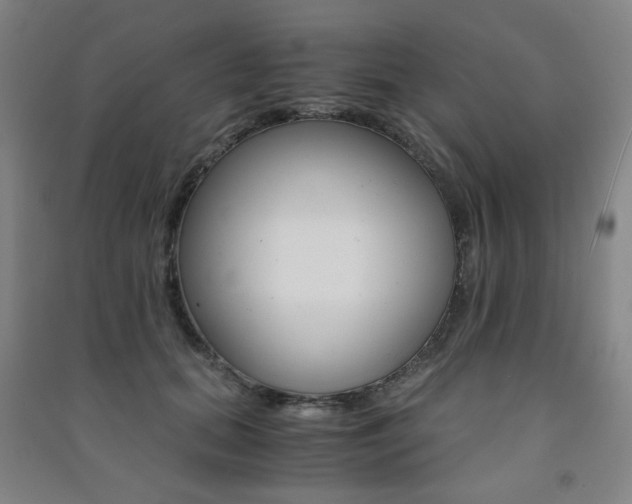 X0000091500655200708161235