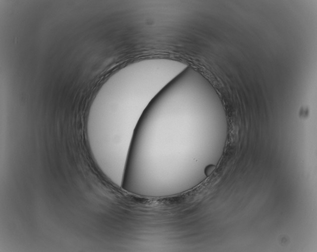 X0000091500656200708161235