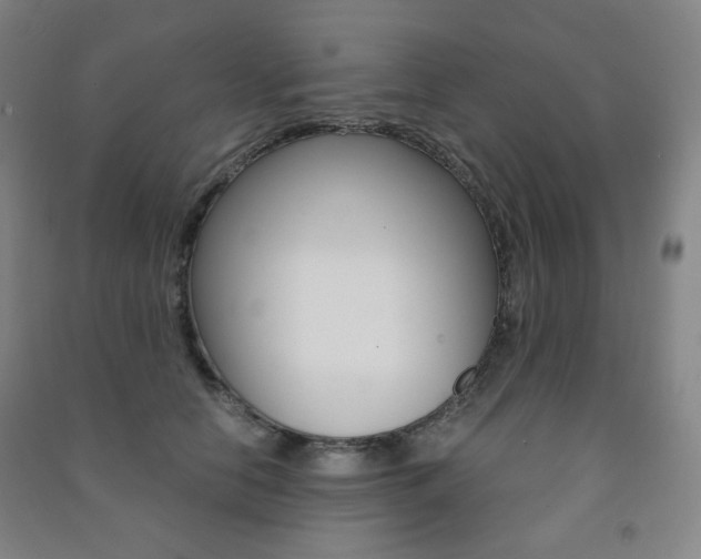 X0000091500658200708161235