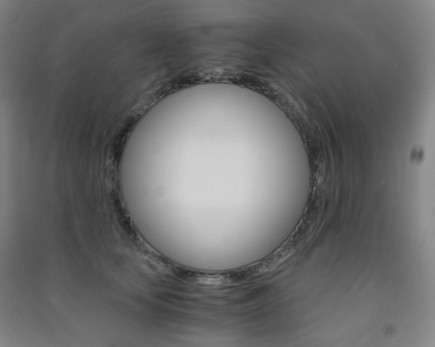 X0000091500659200708161235