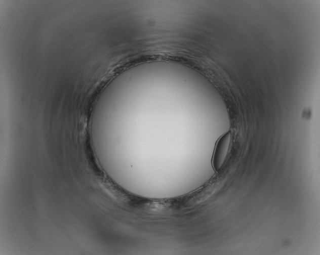 X0000091500660200708161235