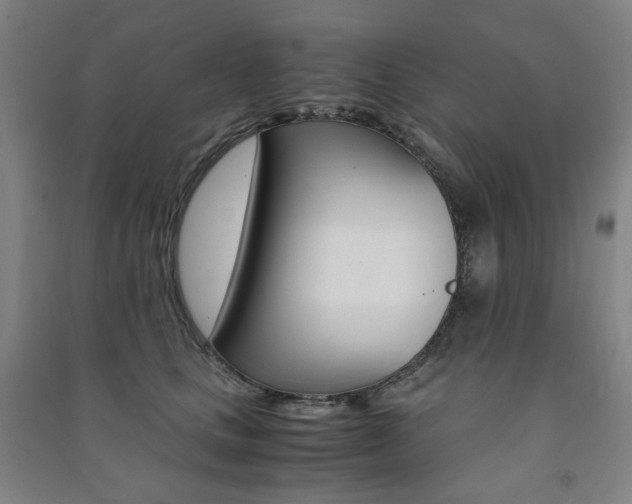 X0000091500661200708161235