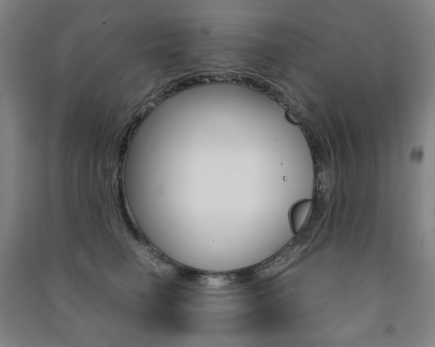 X0000091500662200708161235
