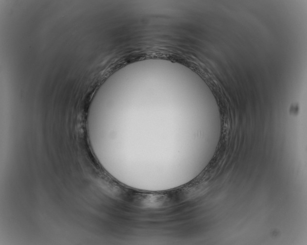 X0000091500663200708161235