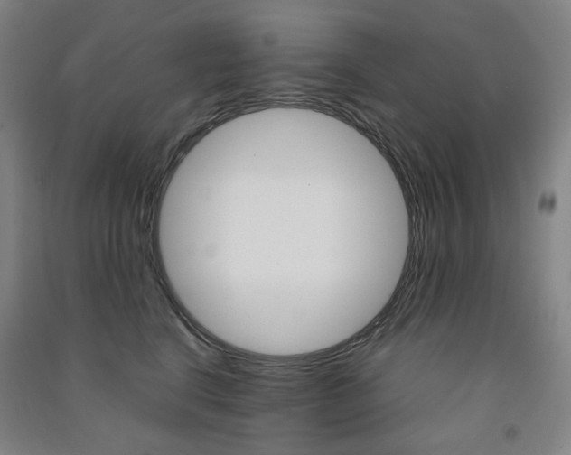 X0000091500664200708161235