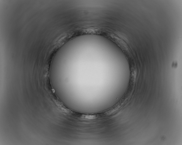 X0000091500665200708161235