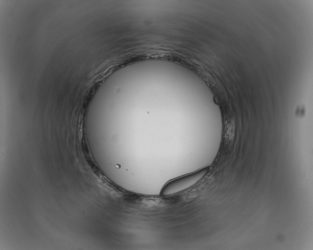 X0000091500666200708161235