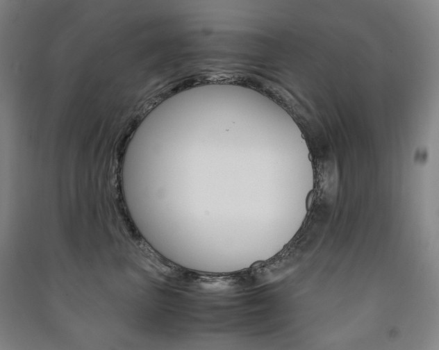 X0000091500667200708161235