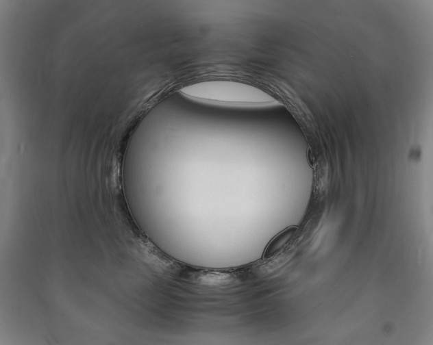X0000091500669200708161235