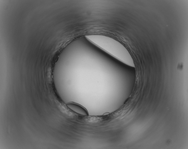 X0000091500670200708161235