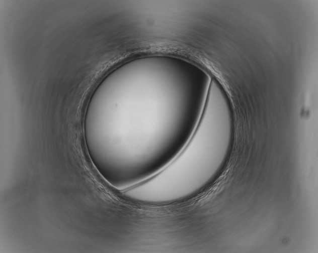 X0000091500673200708161234
