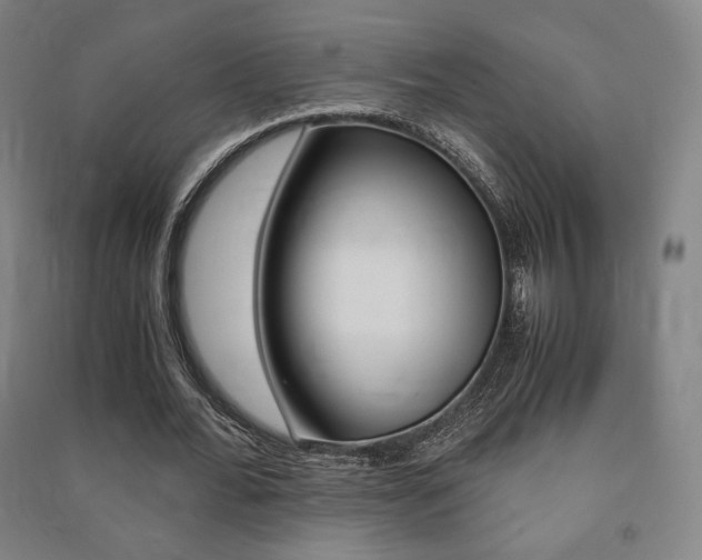 X0000091500676200708161234