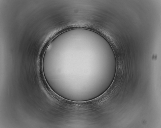 X0000091500678200708161234