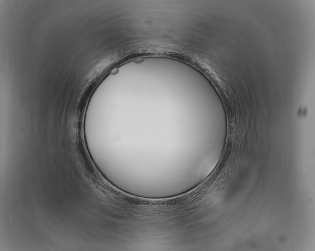 X0000091500679200708161234