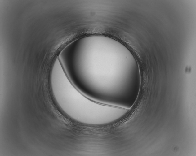 X0000091500681200708161234