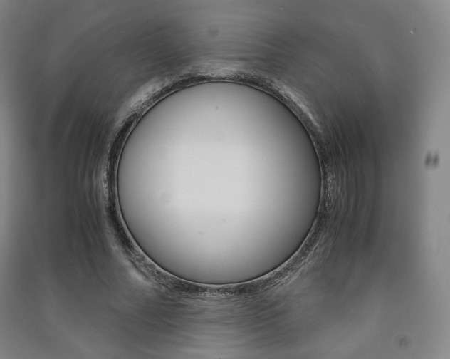 X0000091500682200708161234