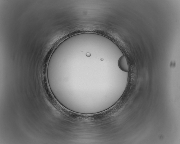 X0000091500683200708161234