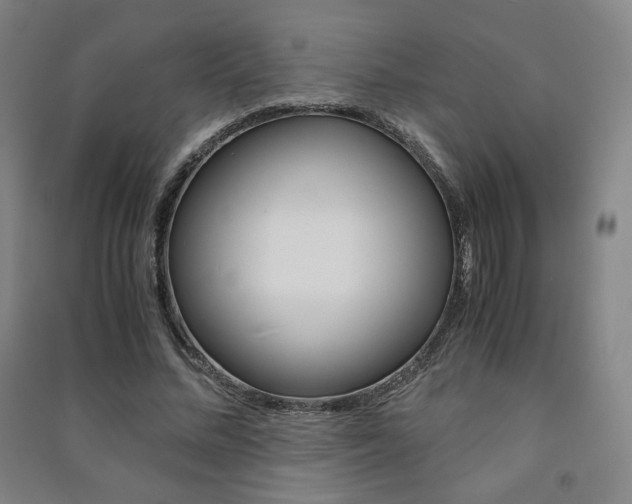 X0000091500684200708161234