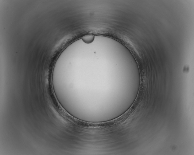 X0000091500686200708161234