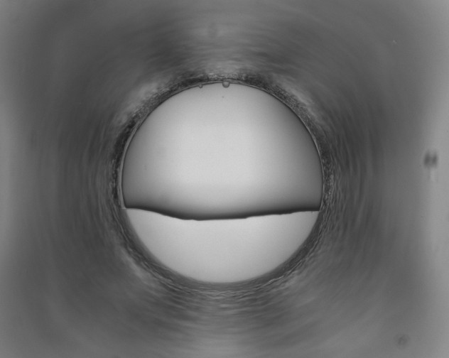 X0000091500687200708161234