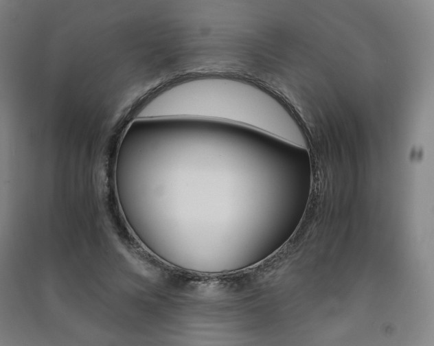 X0000091500688200708161234