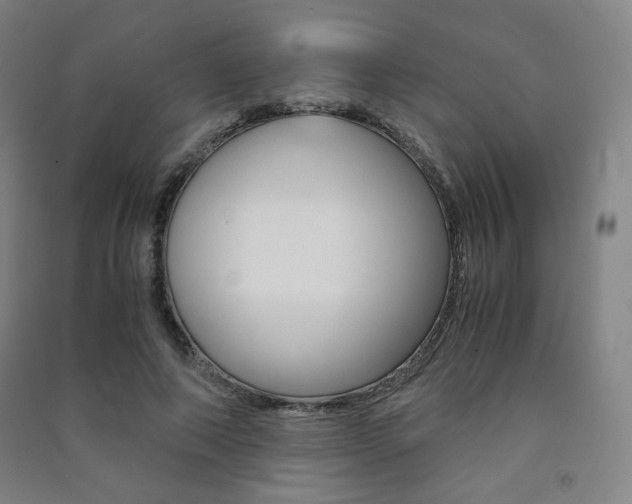 X0000091500690200708161234
