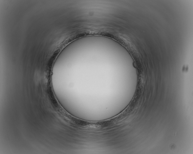 X0000091500691200708161234