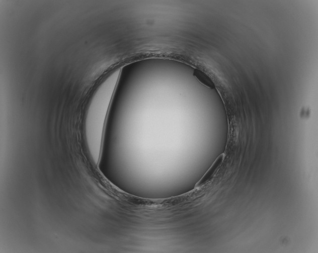 X0000091500692200708161234