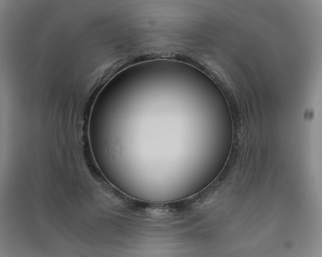 X0000091500693200708161234