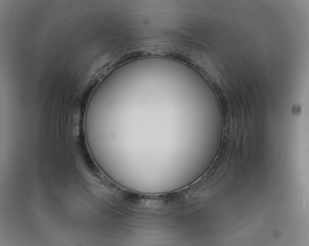 X0000091500694200708161234