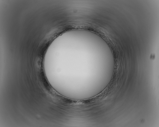 X0000091500695200708161234