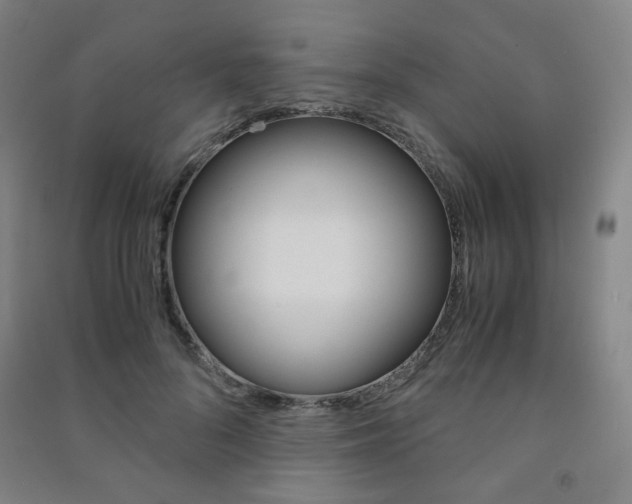 X0000091500696200708161234